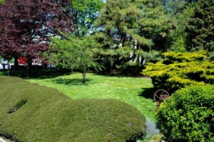 jardin